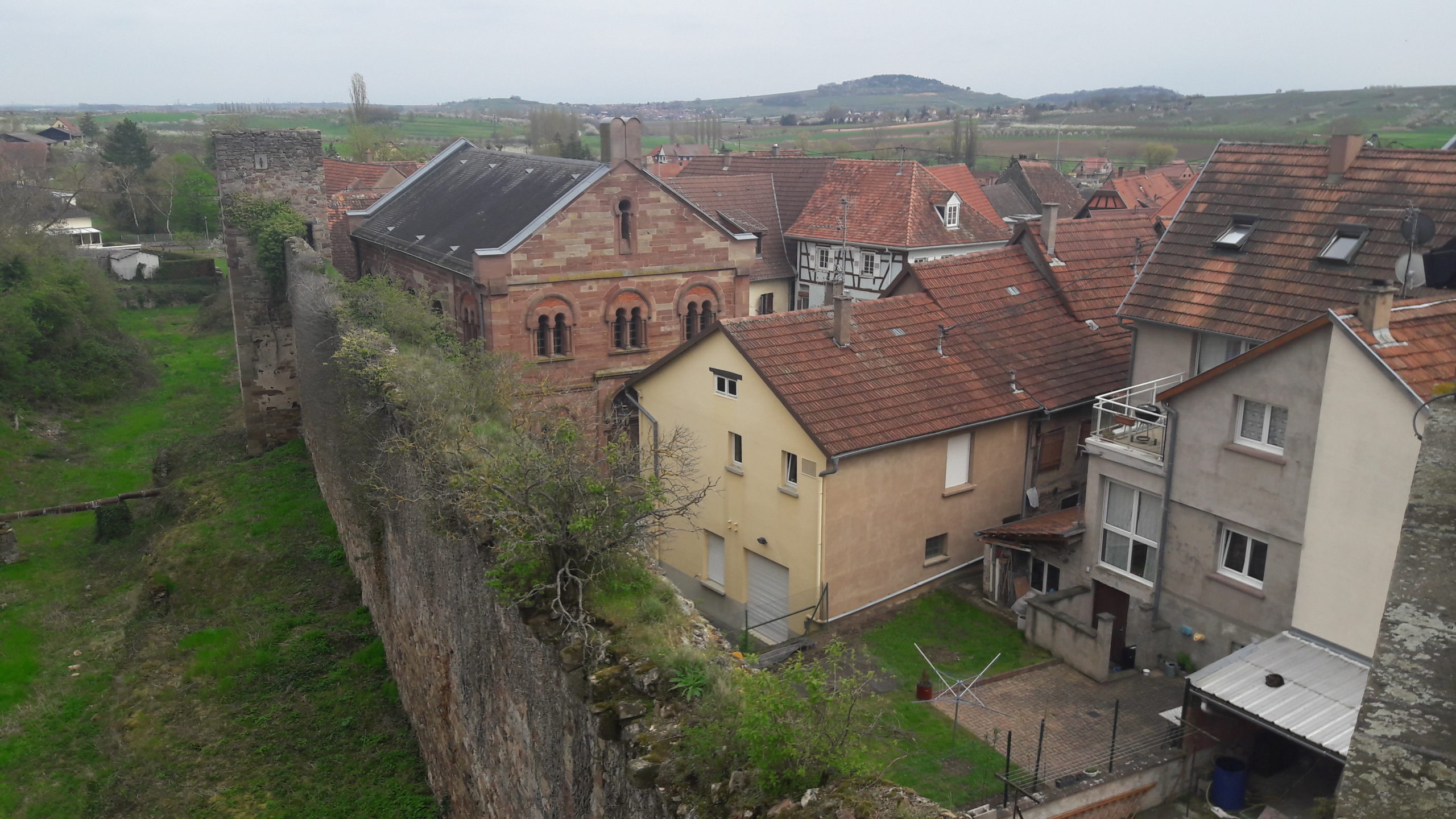Synagogue Westhoffen