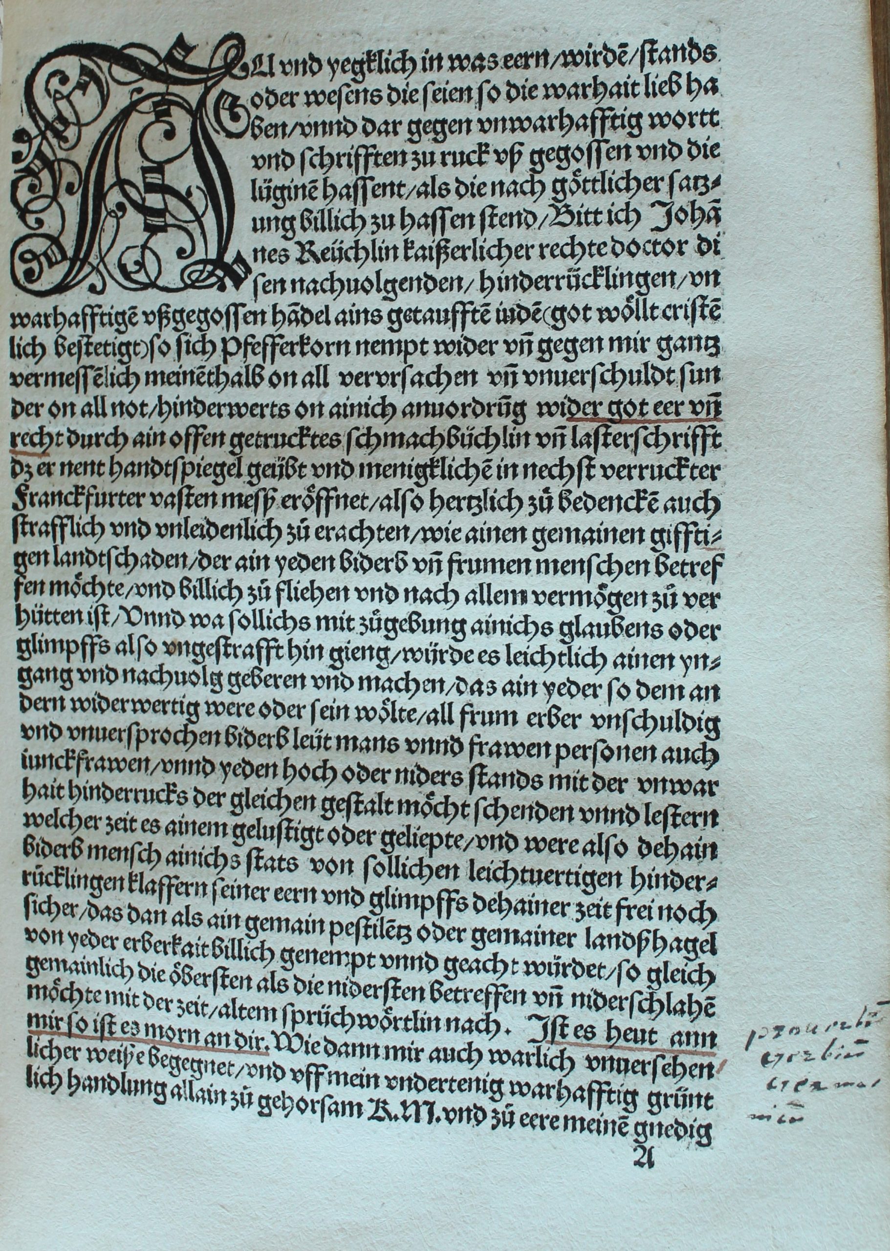 Reuchlin-scaled